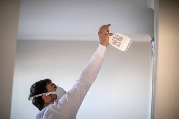 Best Home Mold Removal  in Jefferson City, TN