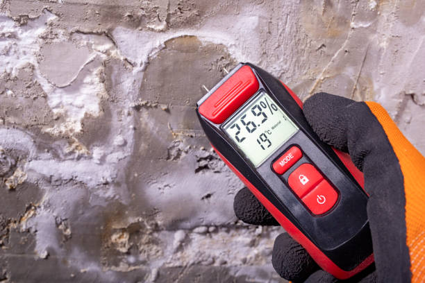 Best Mold Testing  in Jefferson City, TN