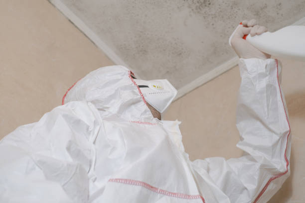 Best Certified Mold Removal  in Jefferson City, TN